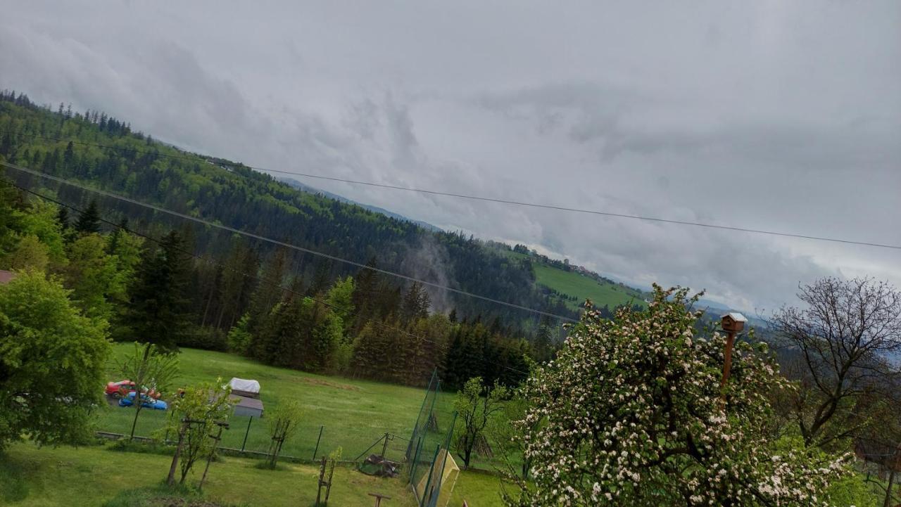 Domek Nad Lasem Koniakow Exterior photo